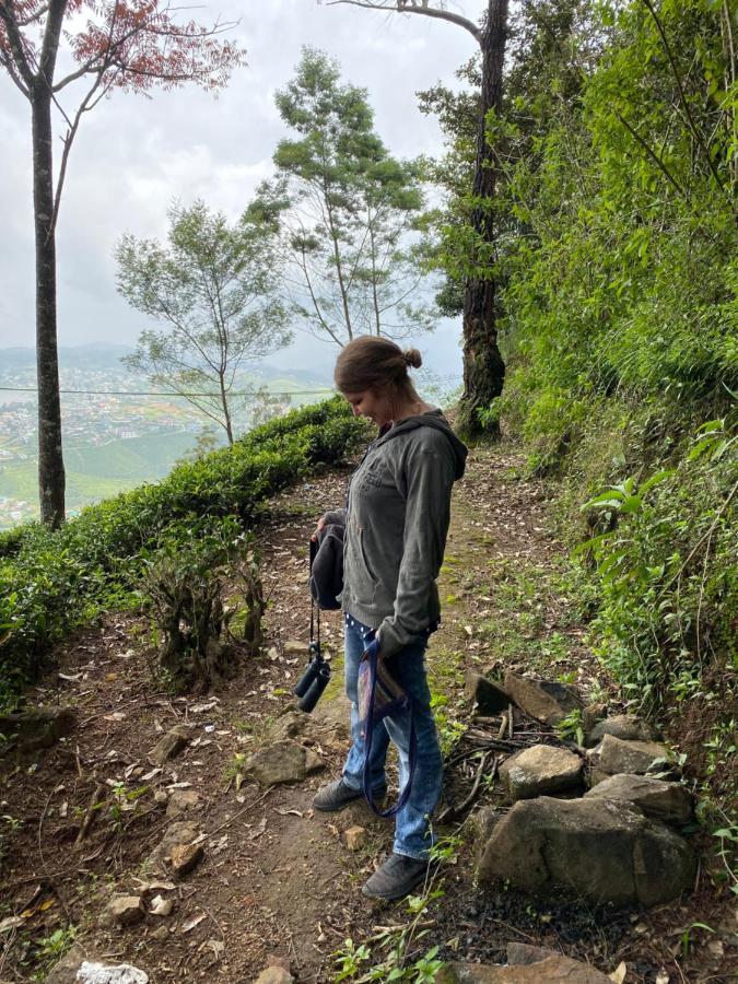 W15 Lake Gregory Nuwara Eliya Bagian luar foto